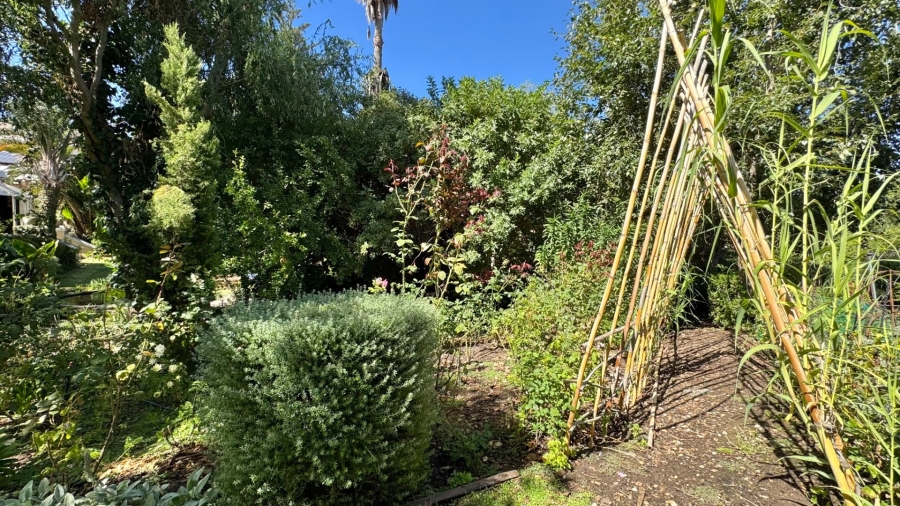 5 Bedroom Property for Sale in Caledon Western Cape